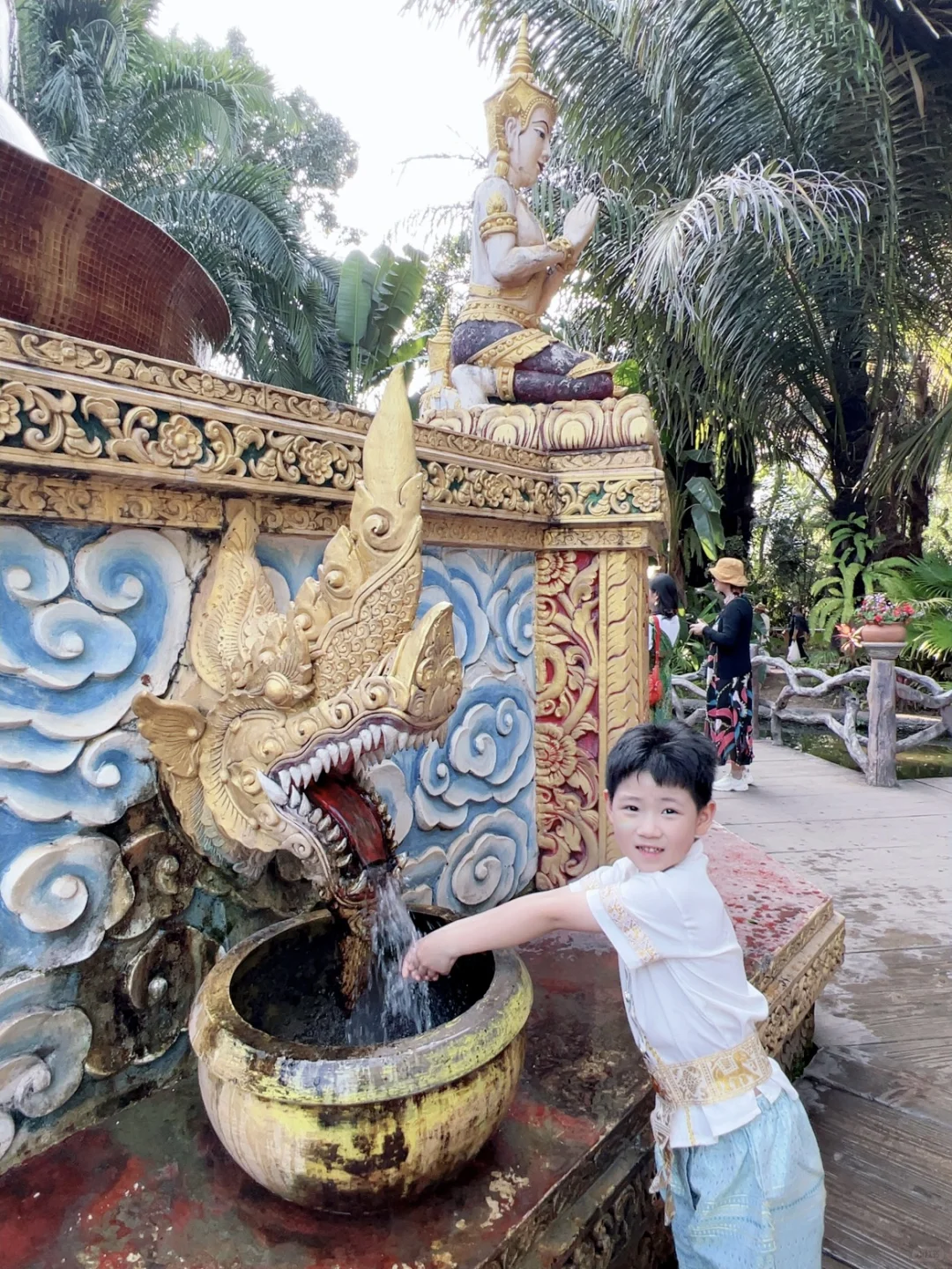 西双版纳5天4晚亲子游