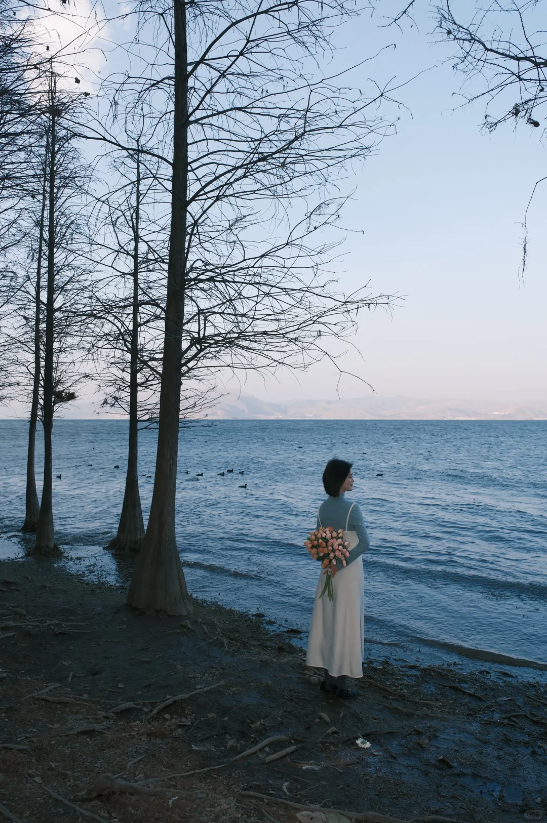 大理来了就不想走