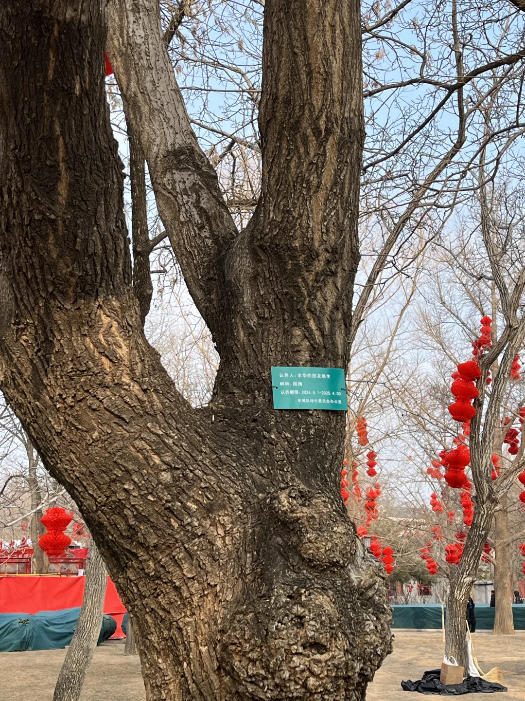 高二/物化生/Day5️⃣