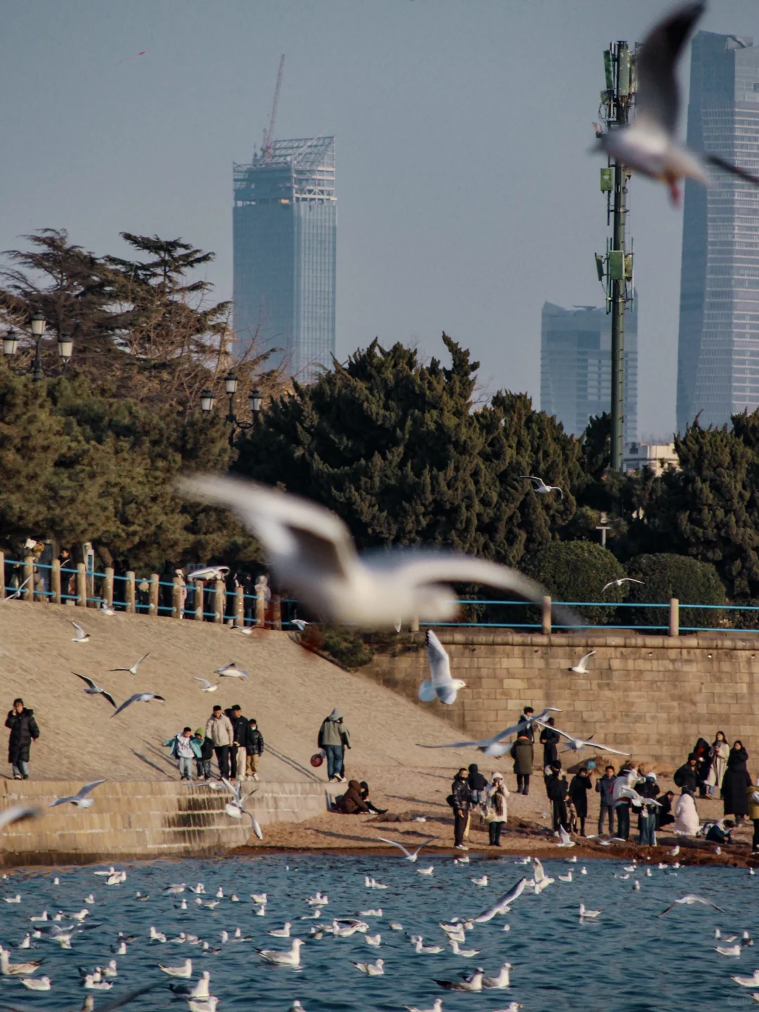 青岛｜圣劳伦斯河畔