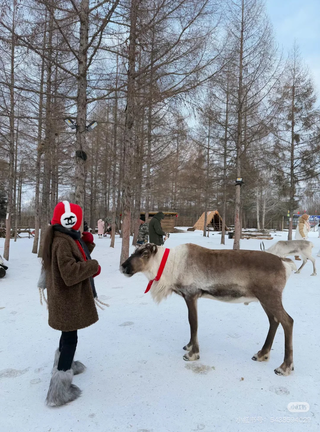 长白山天池不开,来二道白河镇这些免费景点
