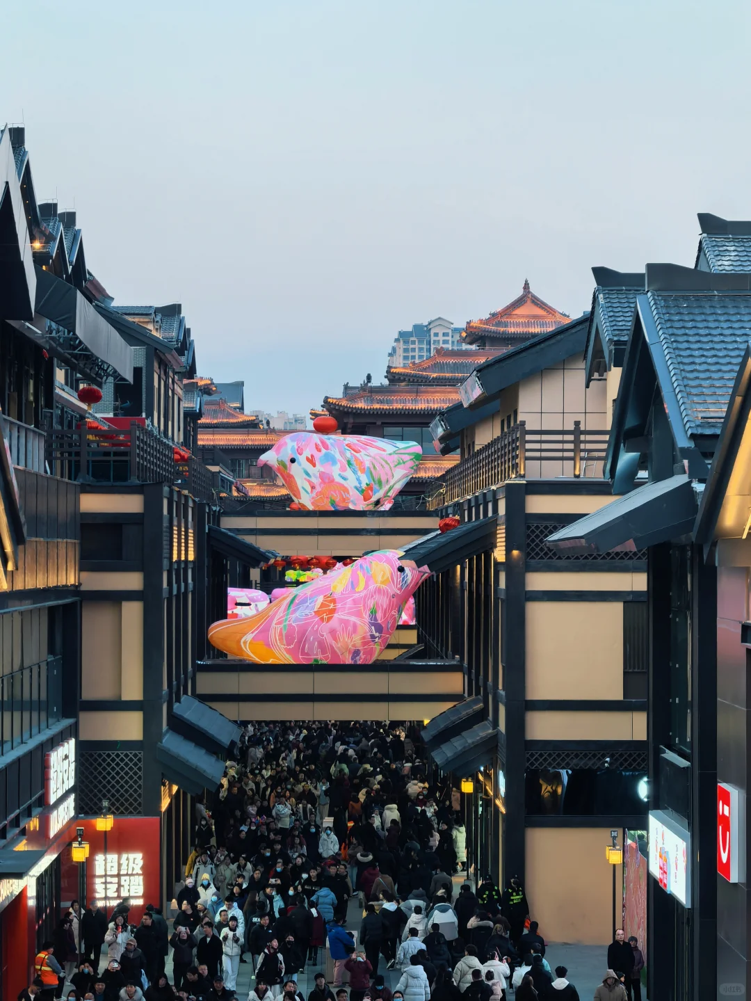 邯郸道｜记录有年味的古城🏮