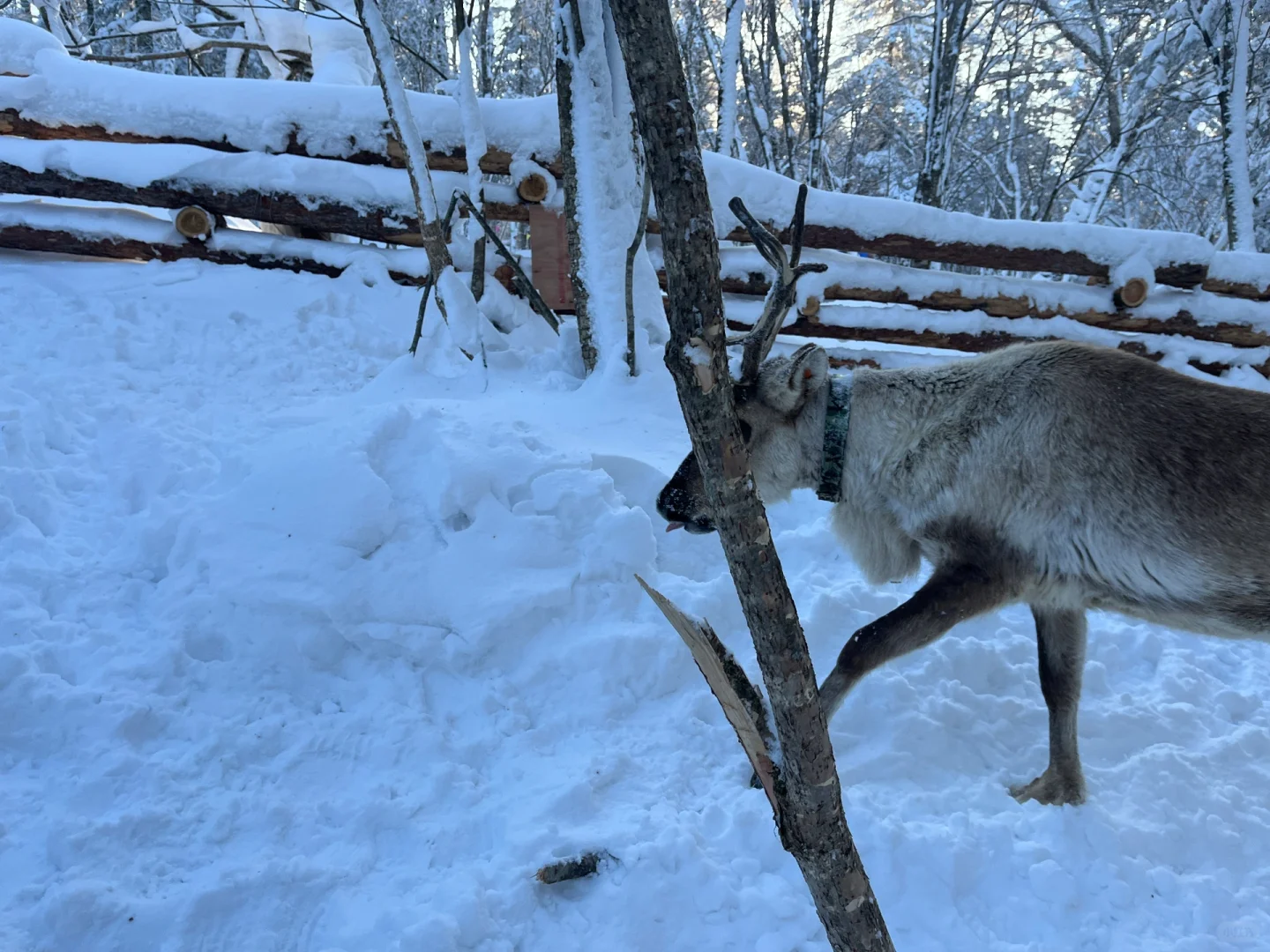 老里克湖这种景点大可不必去，真的！！！