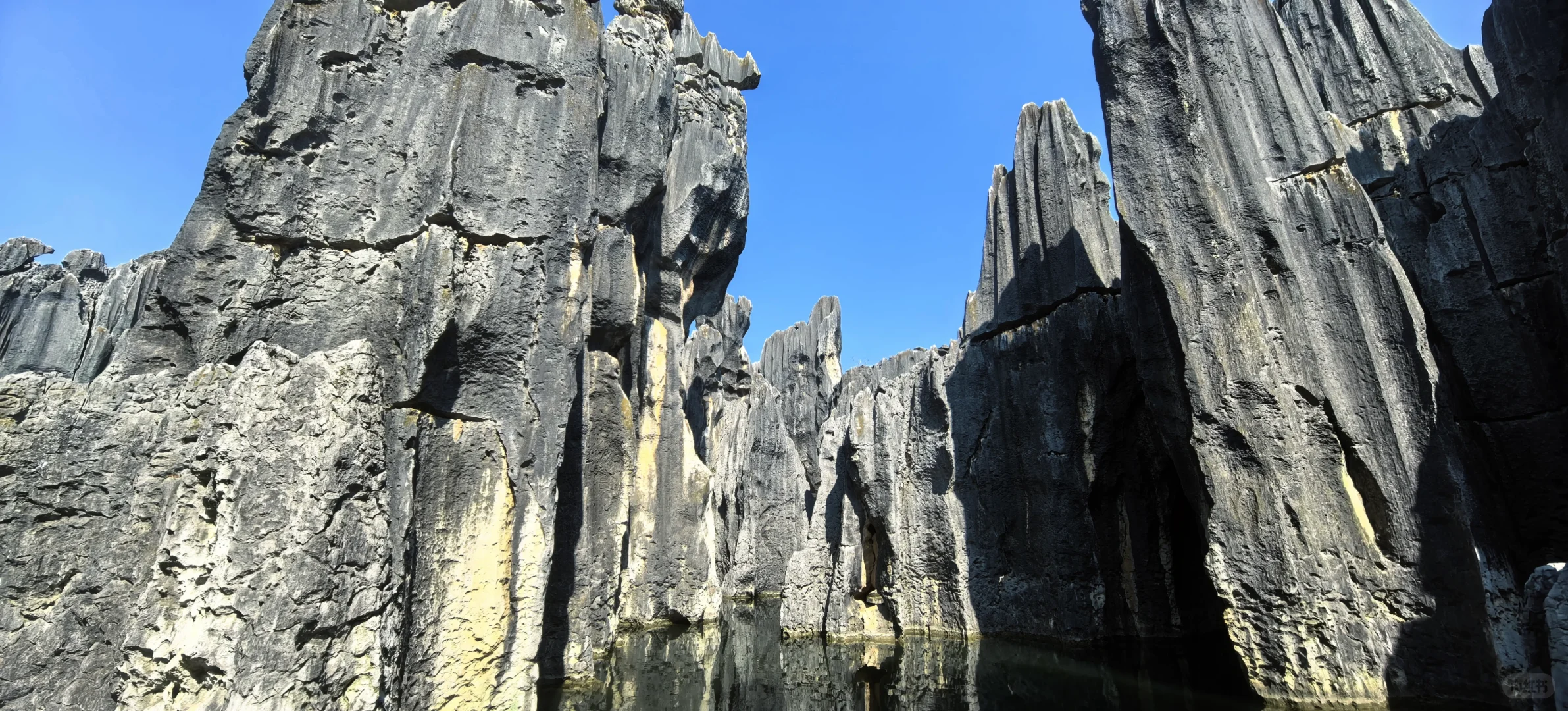 昆明石林 刀山火海 该花得花