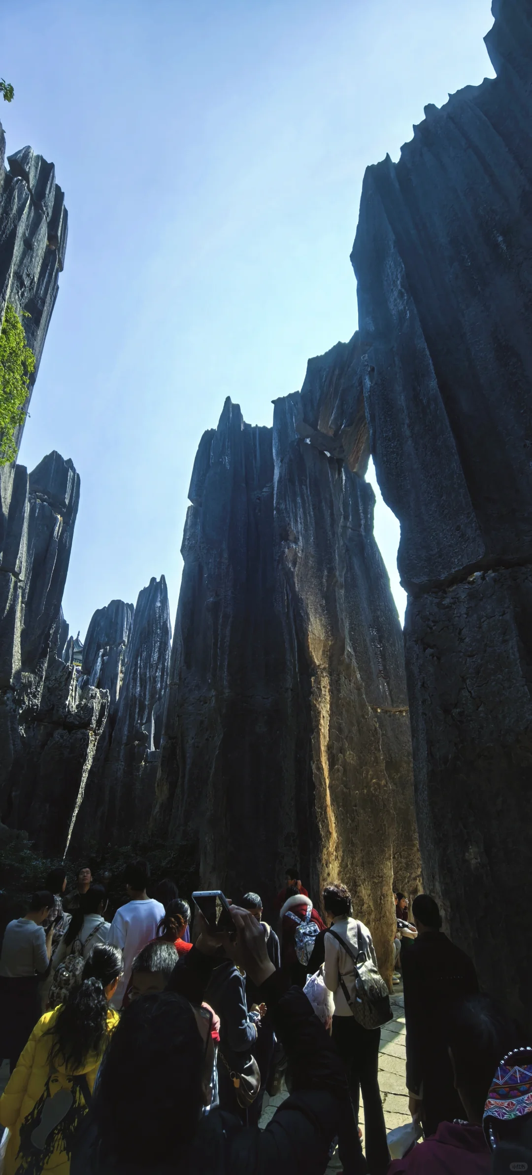 昆明石林 刀山火海 该花得花