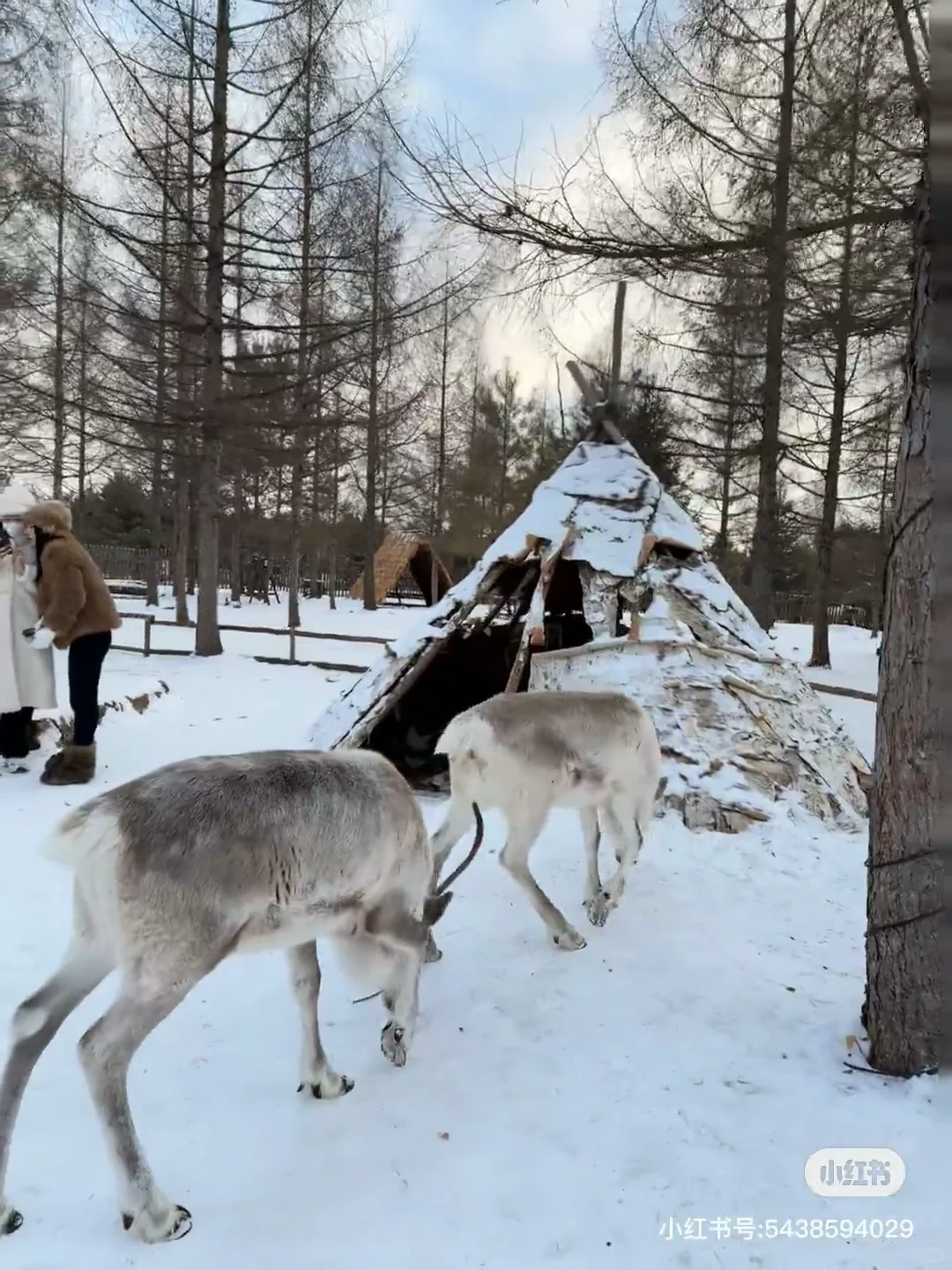 长白山天池不开,来二道白河镇这些免费景点