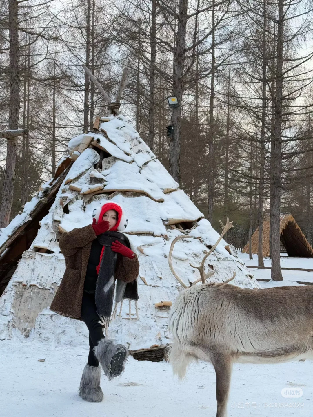 长白山天池不开,来二道白河镇这些免费景点