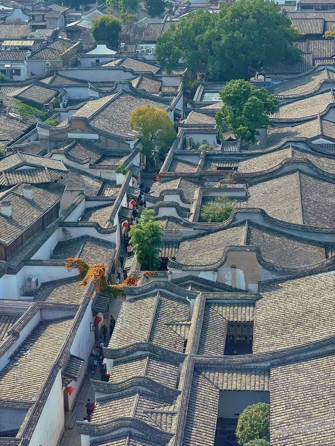 做有福之人❤️来有福之州📷三坊七巷打卡攻略