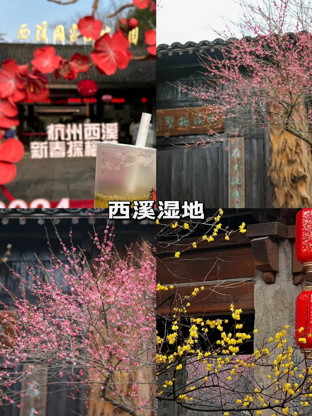 杭州四大绝美赏梅圣地🎁踏梅寻香即刻出发