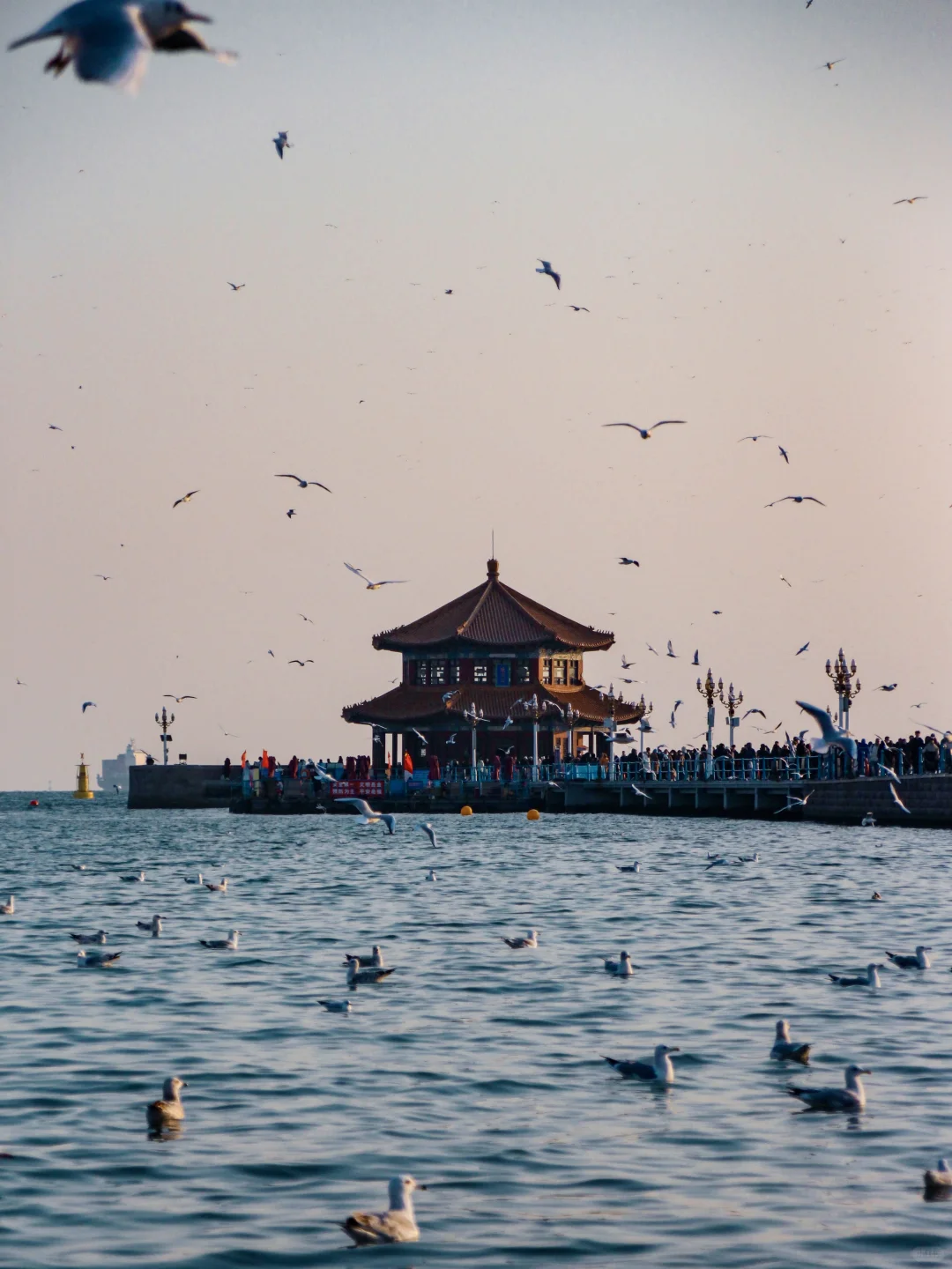 青岛｜圣劳伦斯河畔