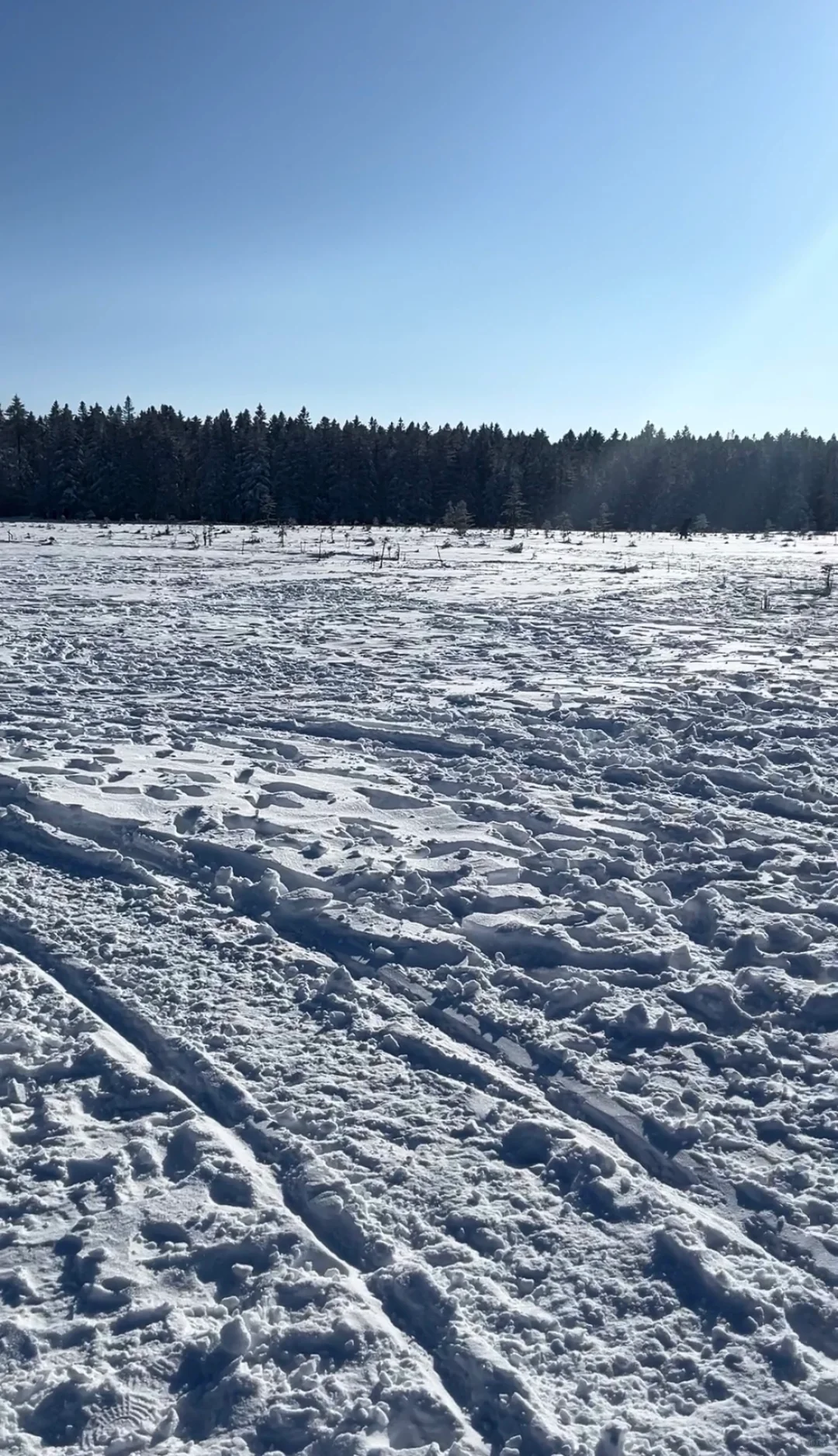 老里克湖这种景点大可不必去，真的！！！