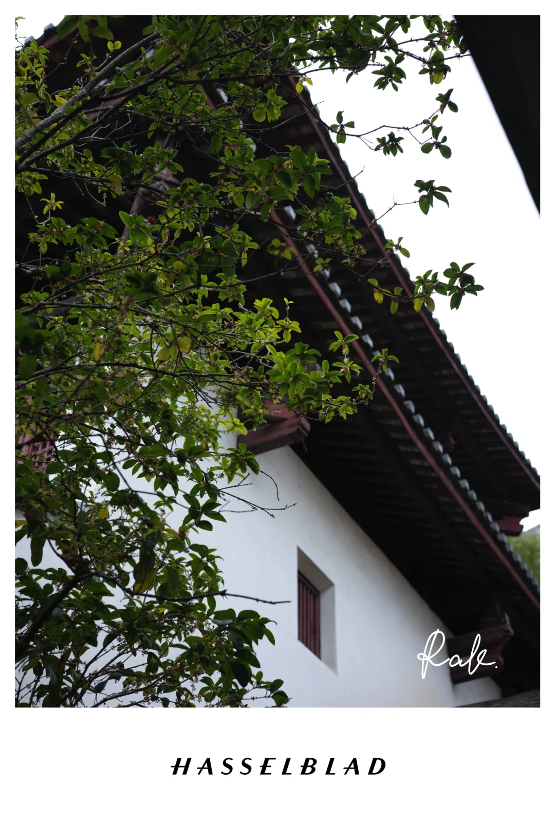 春节自驾游 | 梅州