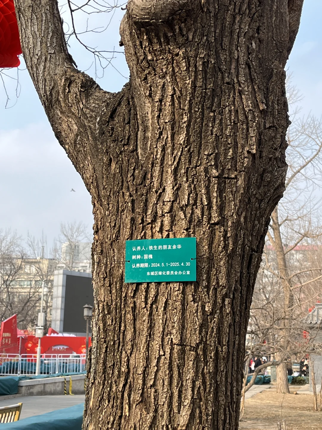 高二/物化生/Day5️⃣