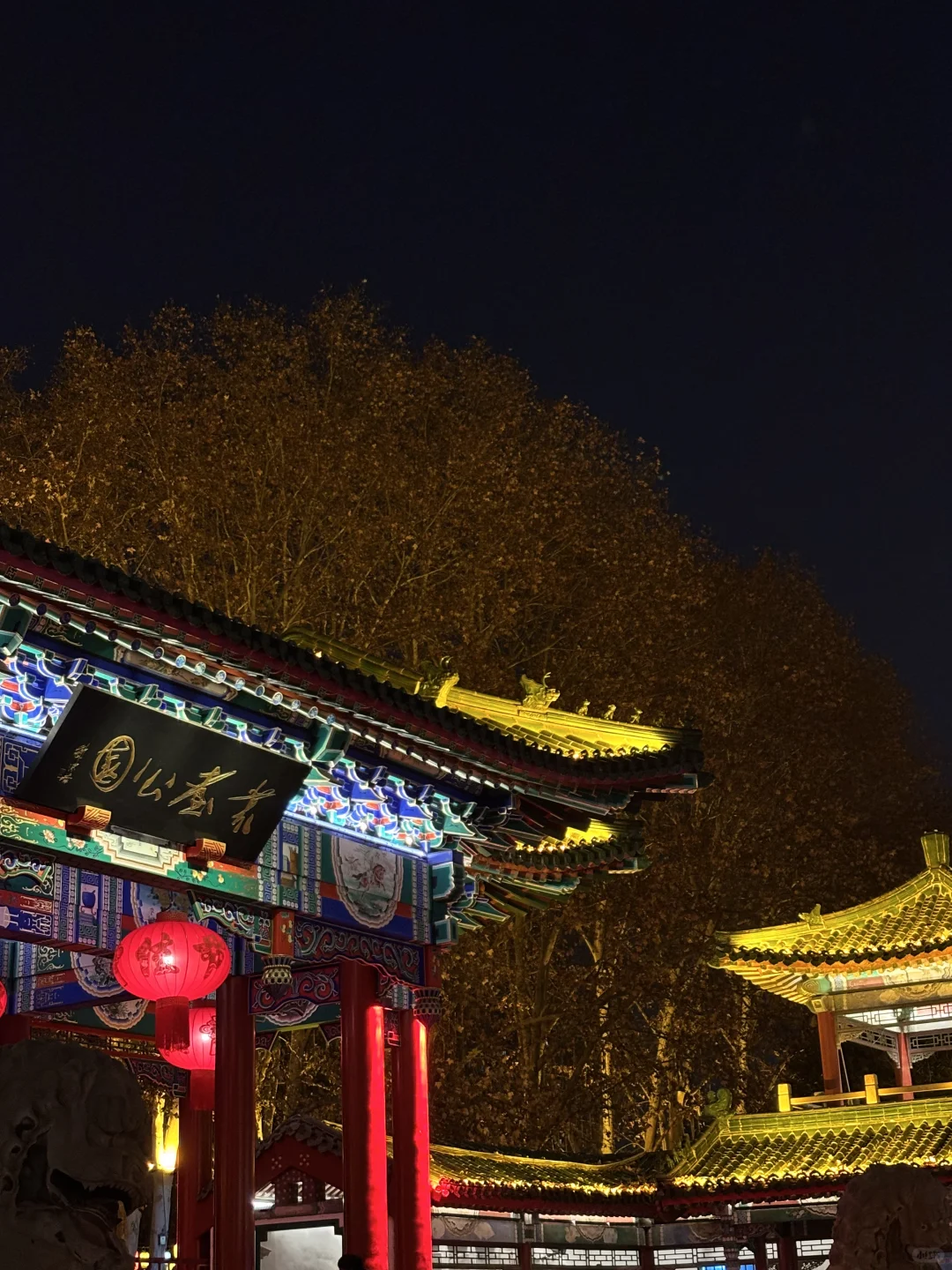 🔁Plog|我宣布：这是我见过丛台最美的样子‼️