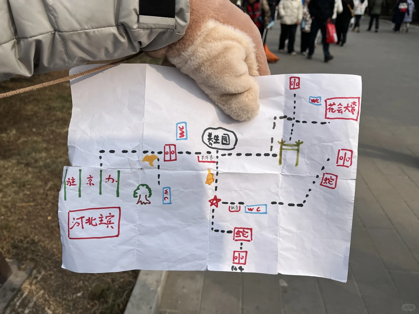 高二/物化生/Day5️⃣