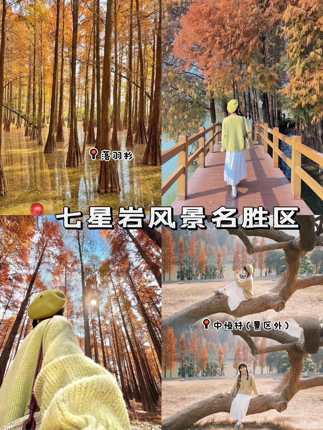 📍肇庆·春节反向旅游攻略⛰️景点篇