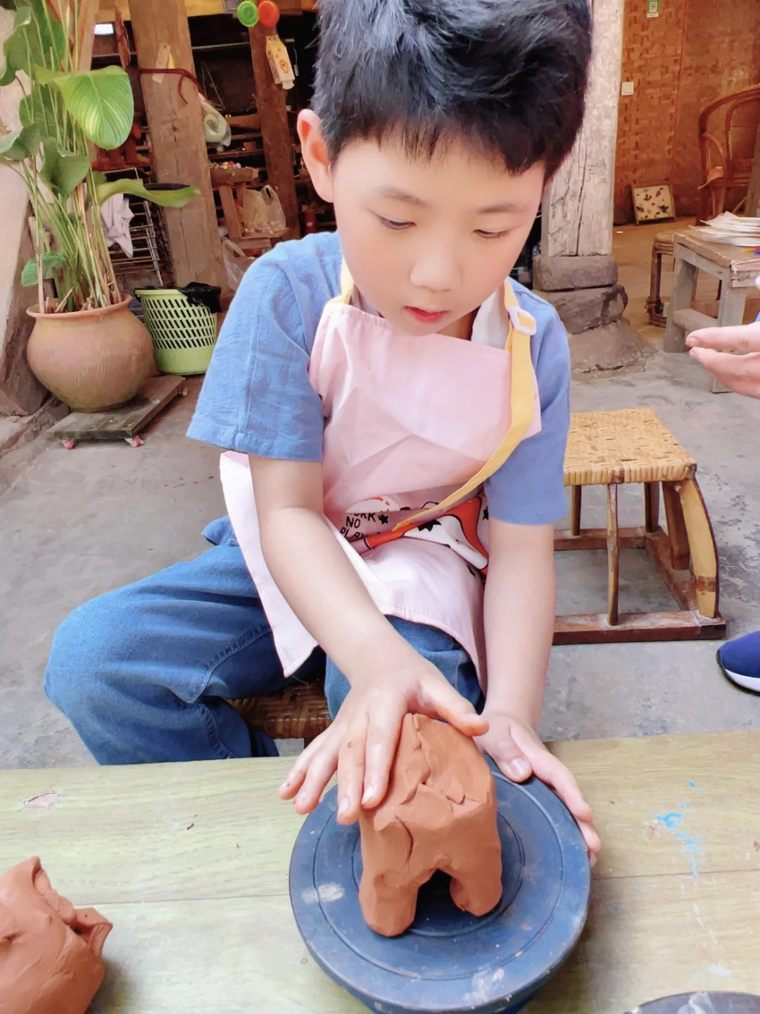 西双版纳5天4晚亲子游