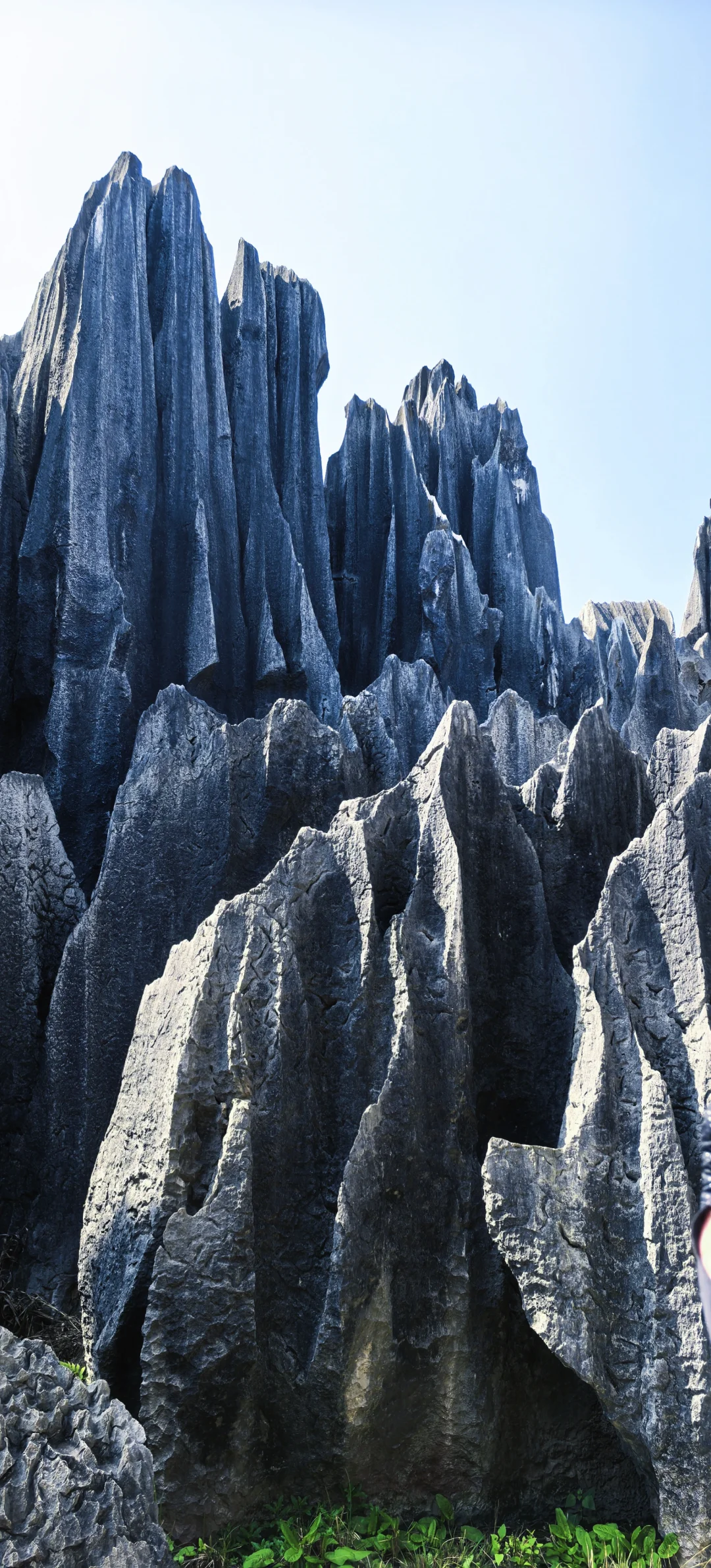 昆明石林 刀山火海 该花得花