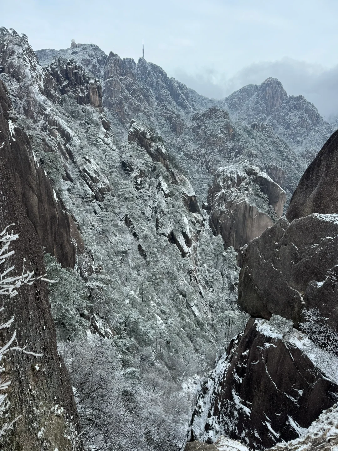 年初六的黄山，美了、值了～