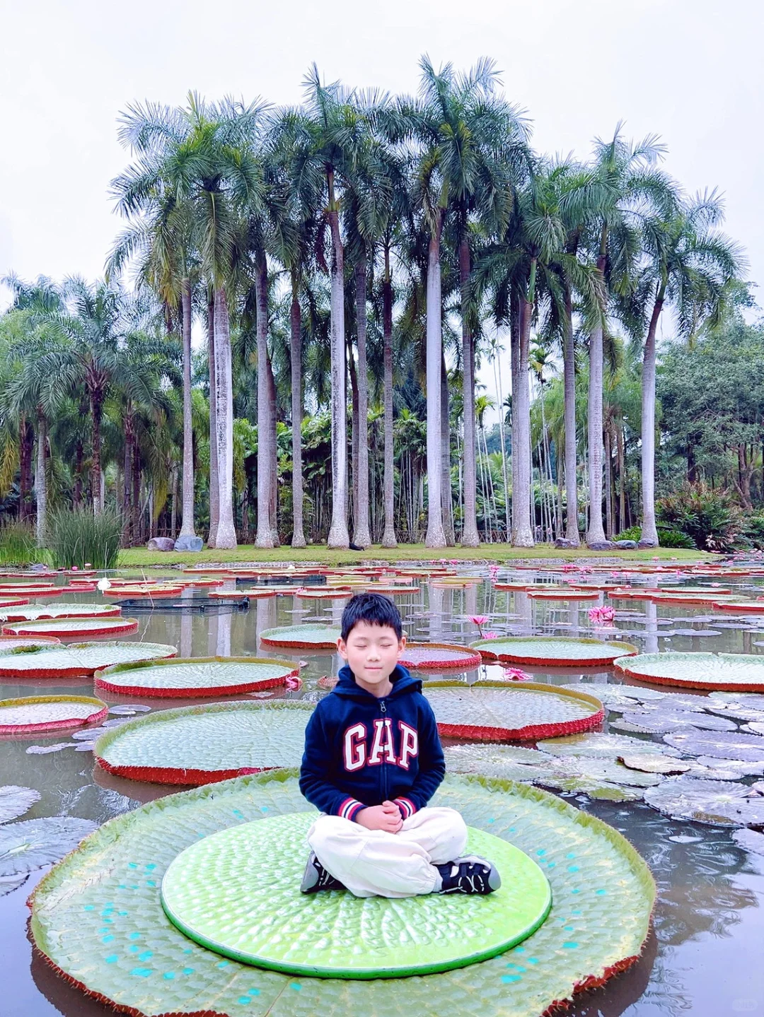 西双版纳5天4晚亲子游