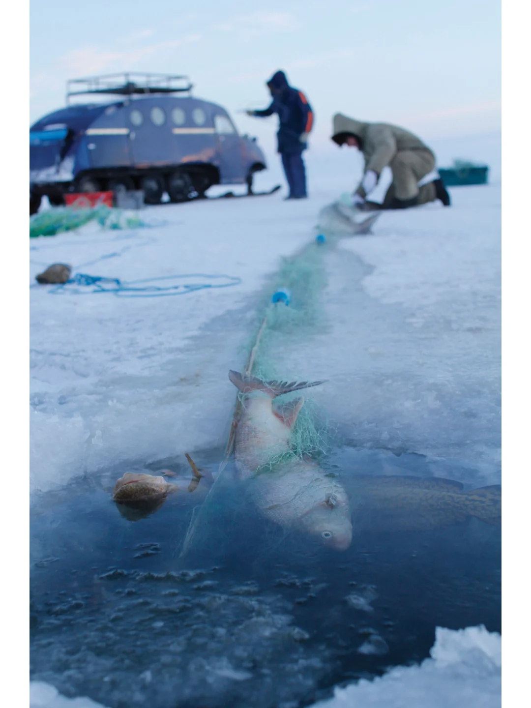 ✨透明玻璃屋看极光+狗拉雪橇+冰上捕鱼