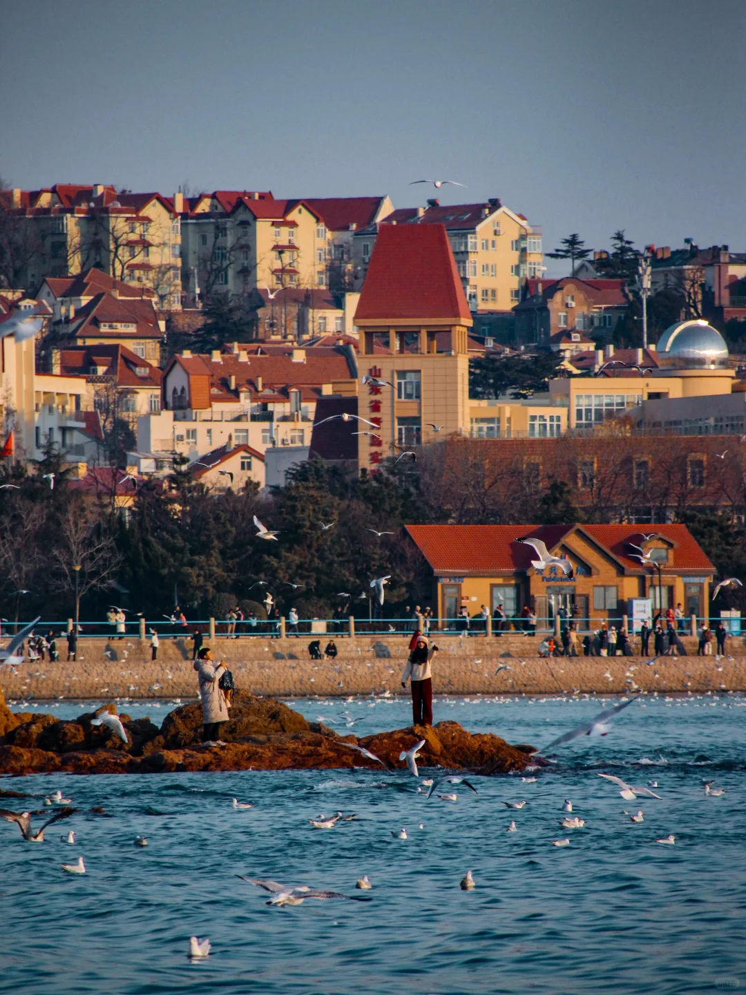 青岛｜圣劳伦斯河畔