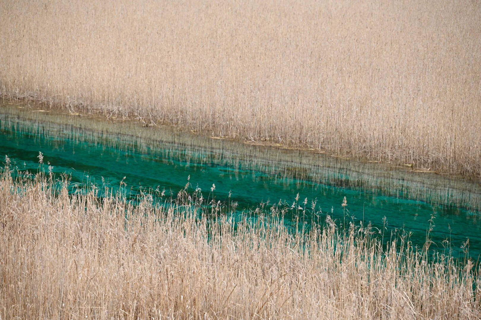补档一下元旦的黄龙九寨行