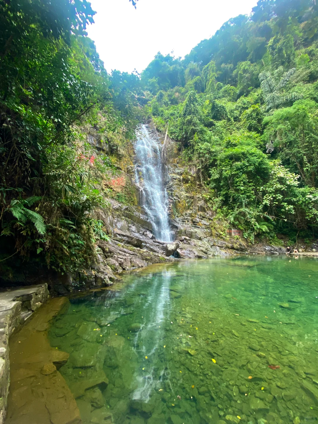 这应该就是广东版【春和景明】