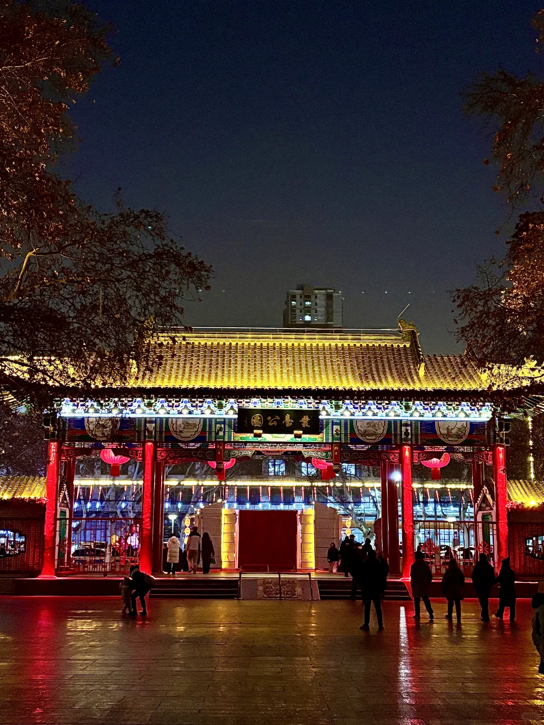 🔁Plog|我宣布：这是我见过丛台最美的样子‼️