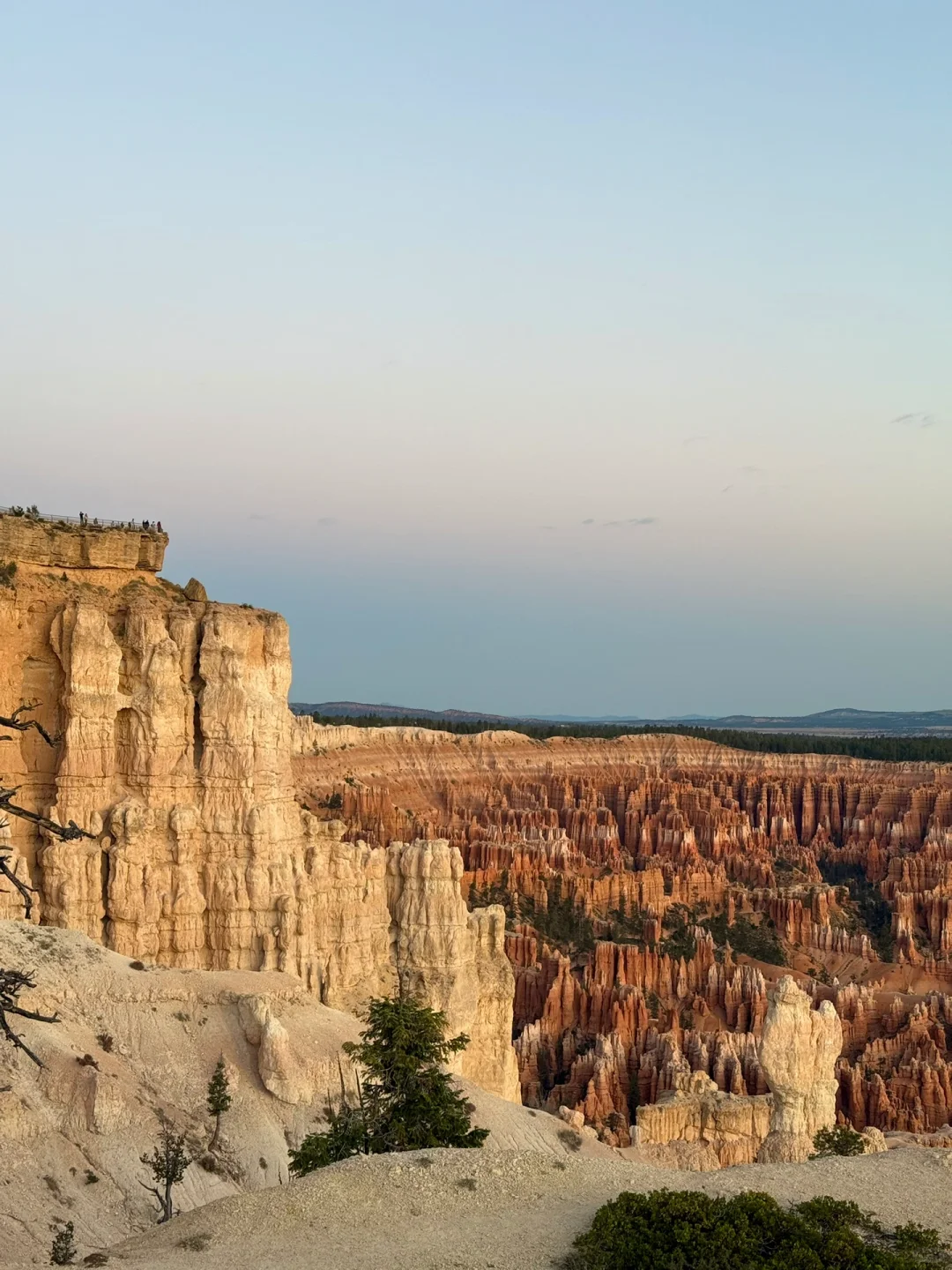 不是夸父也不影响追日