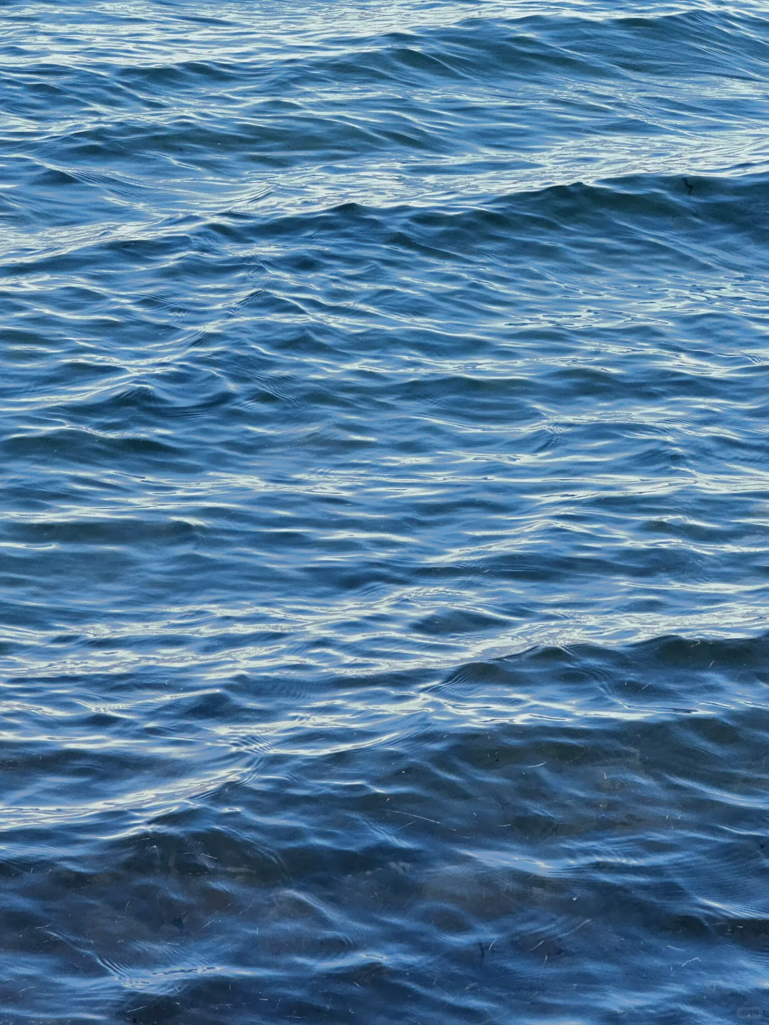 石家庄小洱海🌊｜市区开车40分钟路程🚗