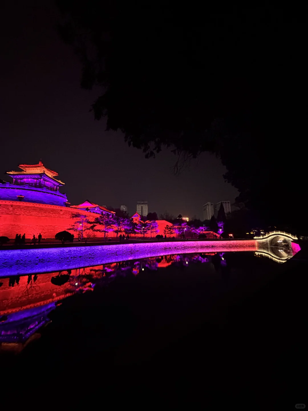 🔁Plog|我宣布：这是我见过丛台最美的样子‼️