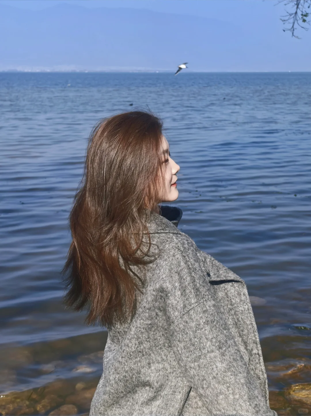 终于带父母从云南跟团已回,真心不建议。。