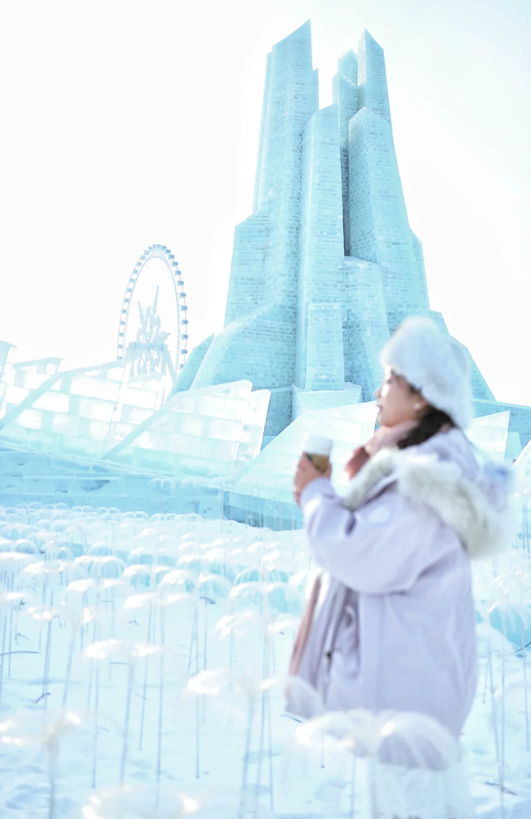 冰雪大世界（尔滨本地大葱）机位