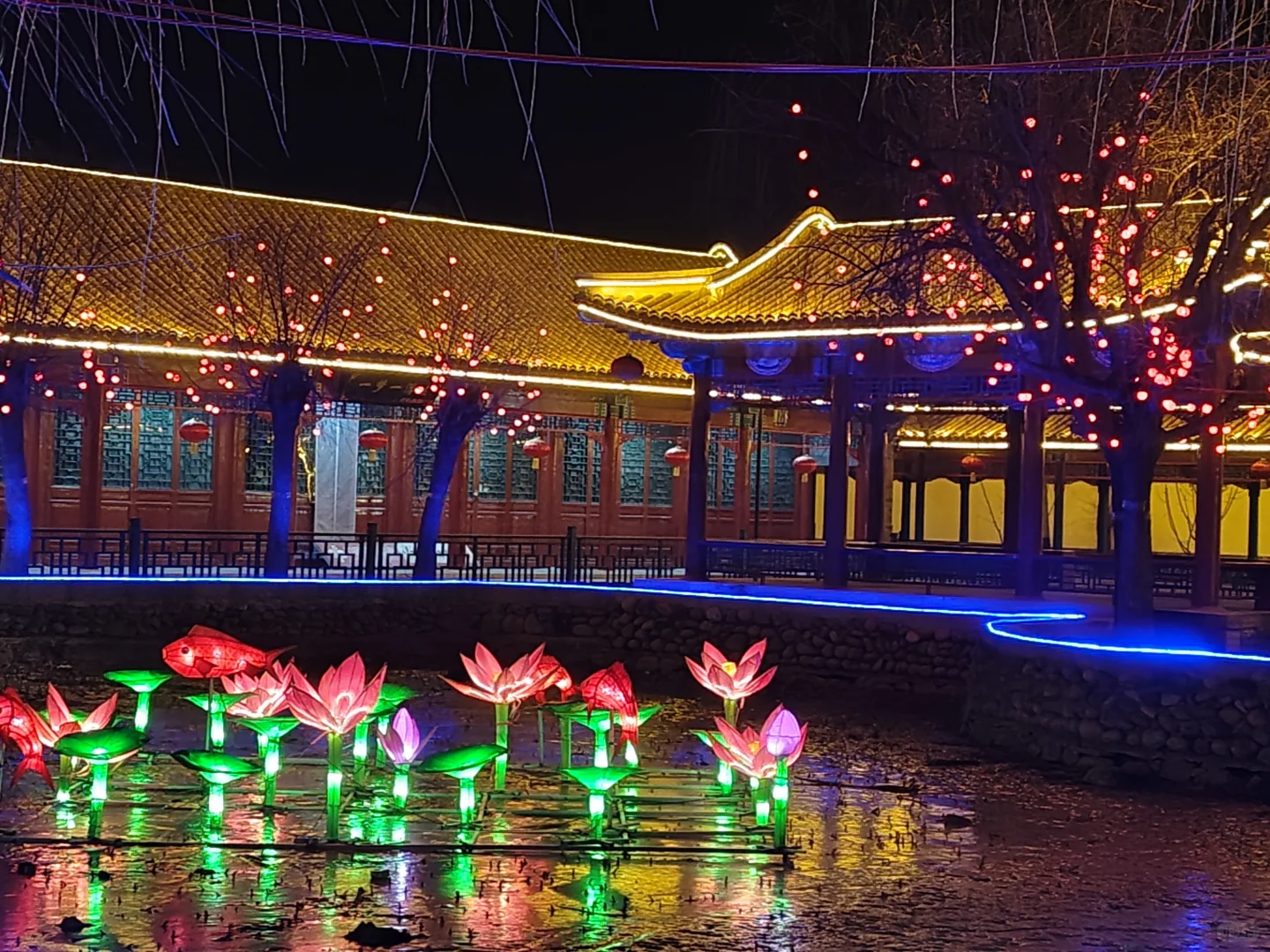 🌸灯｜胜芳古镇