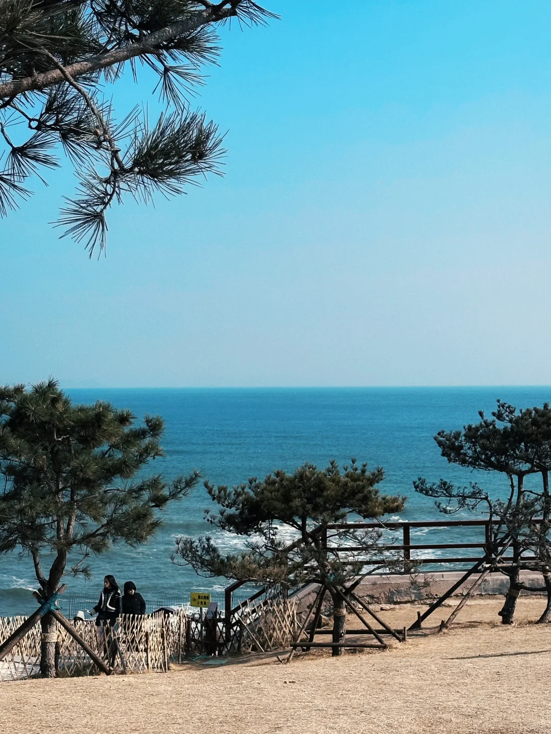 不是青岛,是“小济州岛”!附超详细游玩攻略