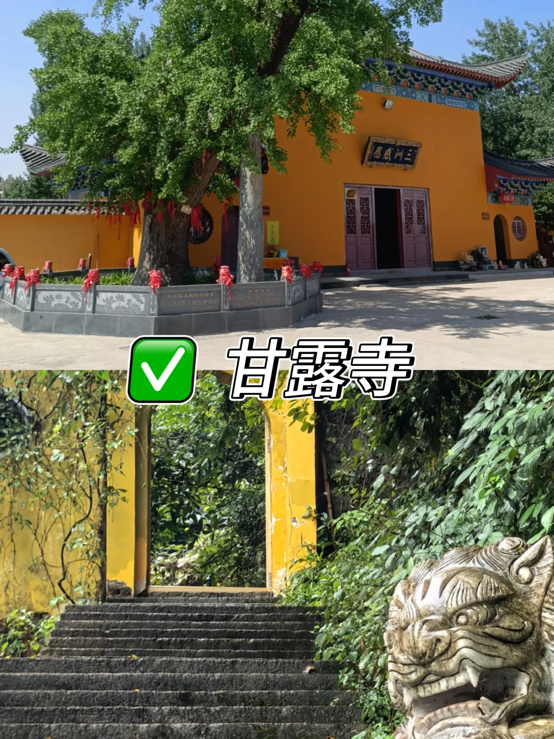 ✨临沂必打卡9大景点攻略来啦✨