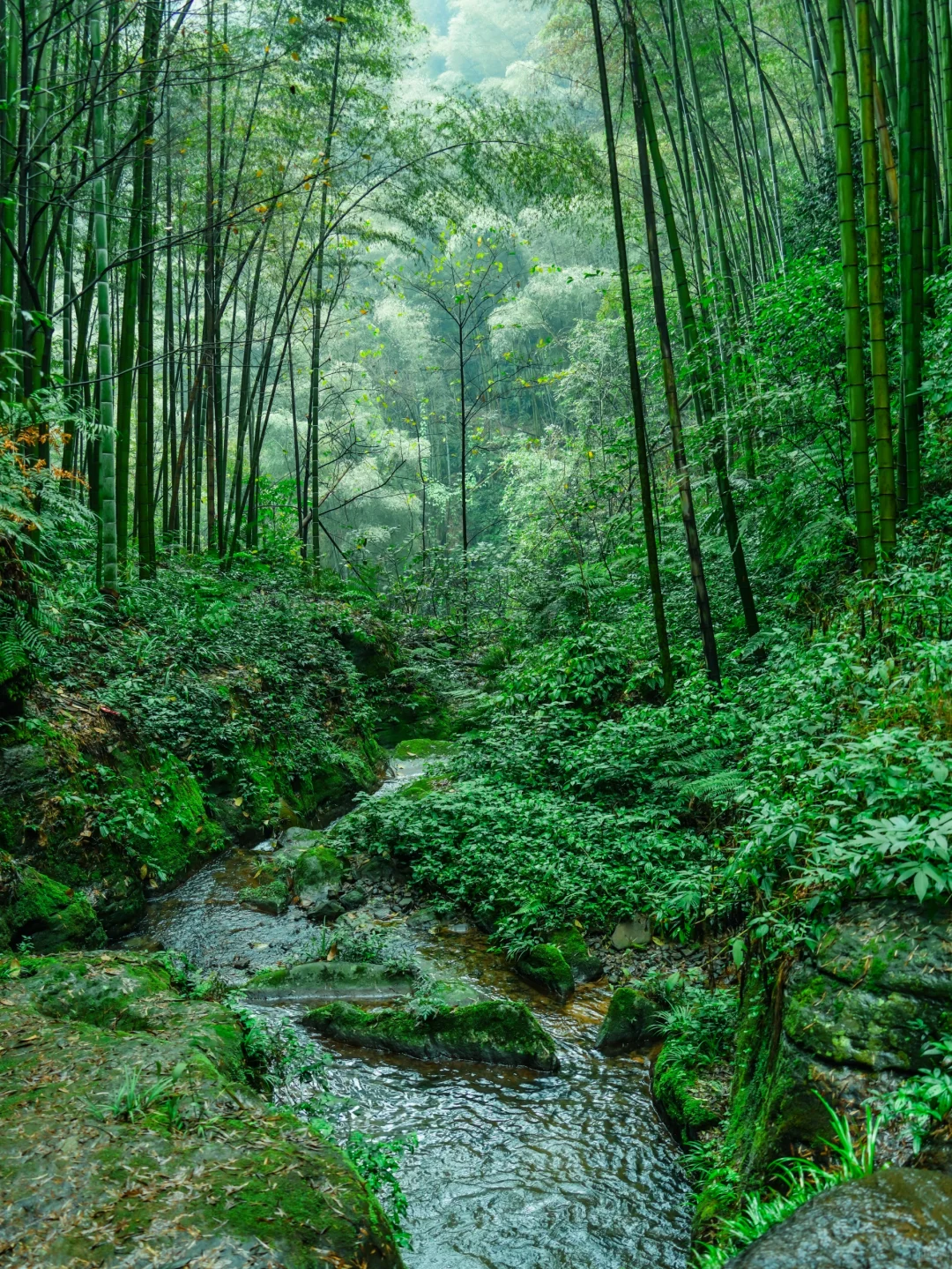 我找到盗墓笔记现实版❗小众冷门景点太仙境