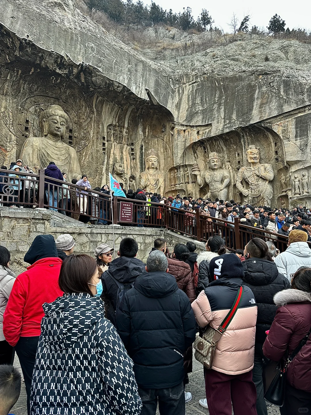 1.31日大年初三龙门石窟实况！劝退！！