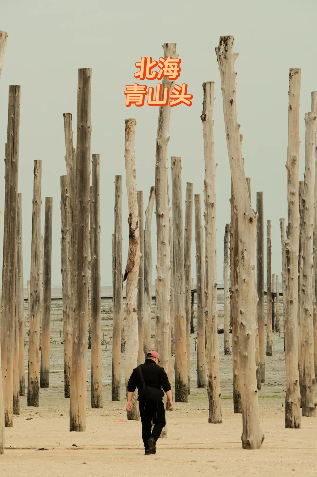 北海青山头景区