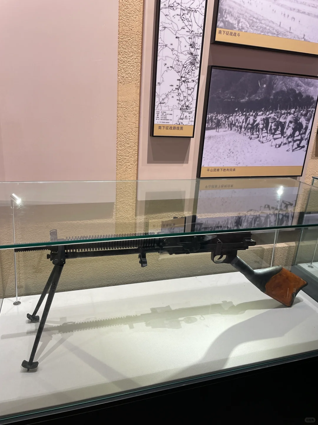 石家庄过年周边游‼️遛娃免费爬山萌宠乐园