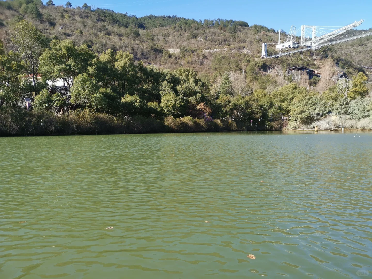 咱也是把桐庐的心动乐园逛遍了哈