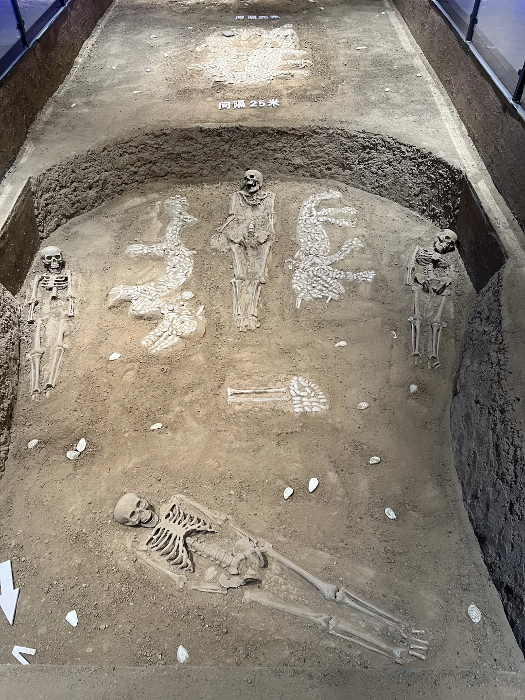 天津-河南鹤壁&濮阳&山东临清5日自驾行程