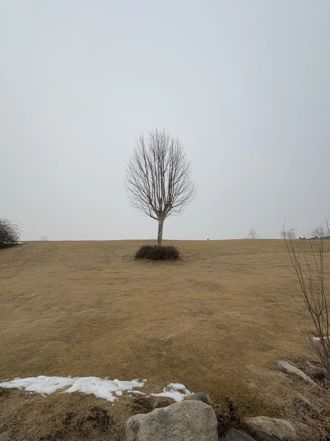 洛阳｜我真的不允许有人错过这个绝美的地方