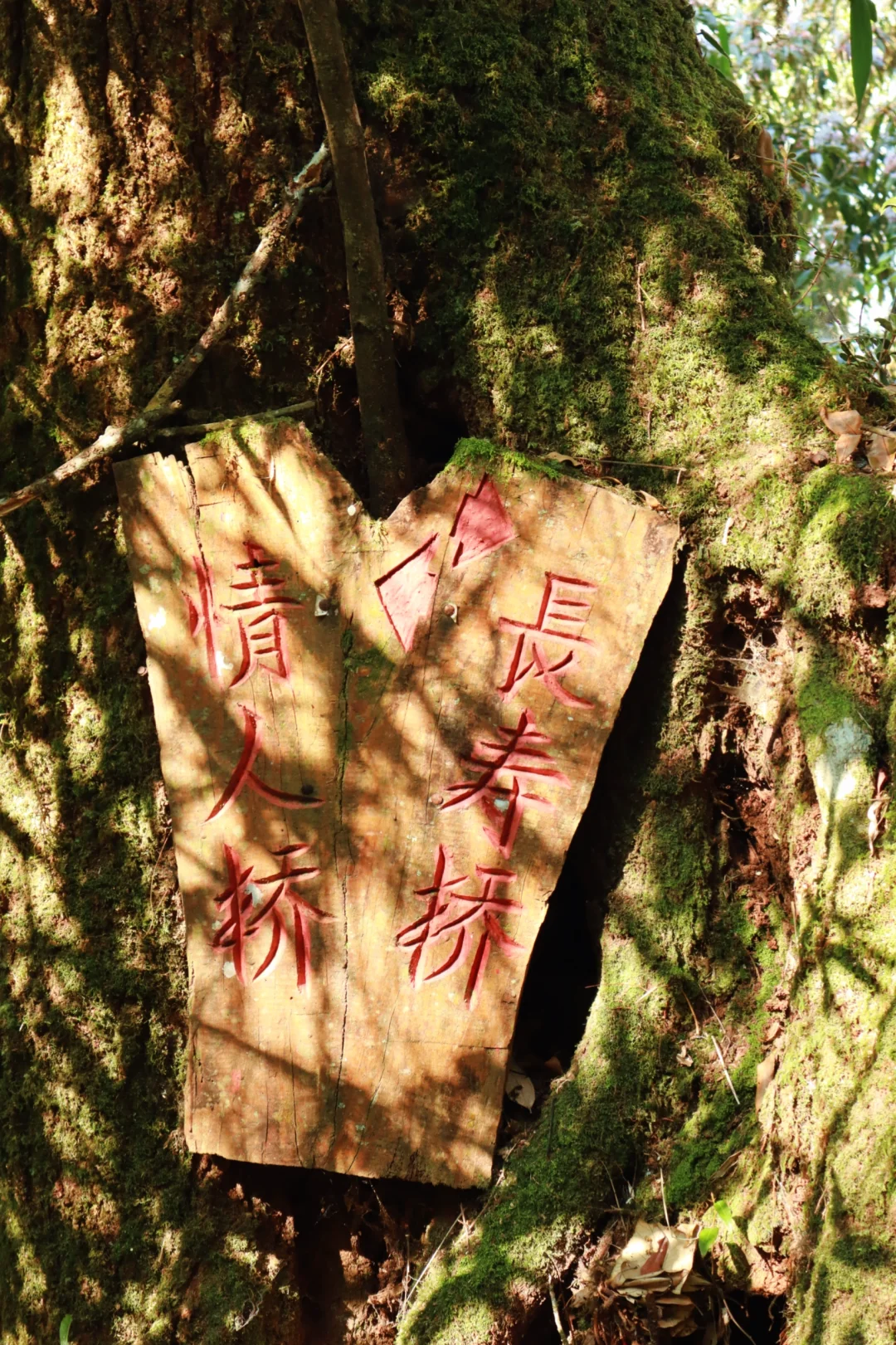 🚪云南屏边:一道被隐藏的自然奇观之门