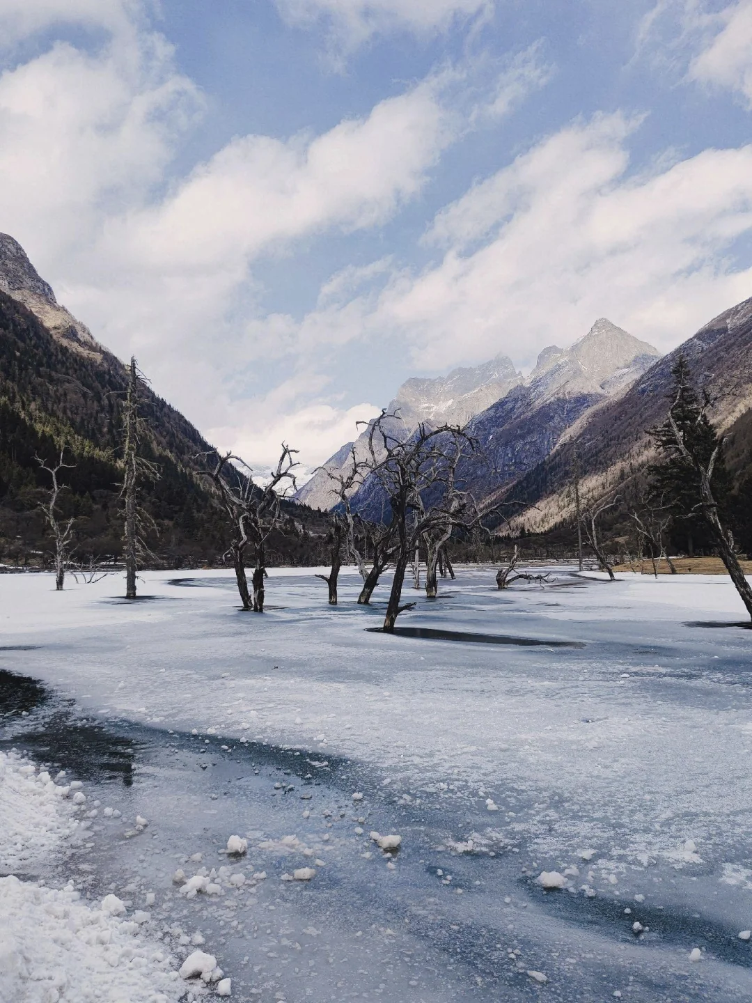 川西会惩罚每个不做攻略的人🥶🥶🥶