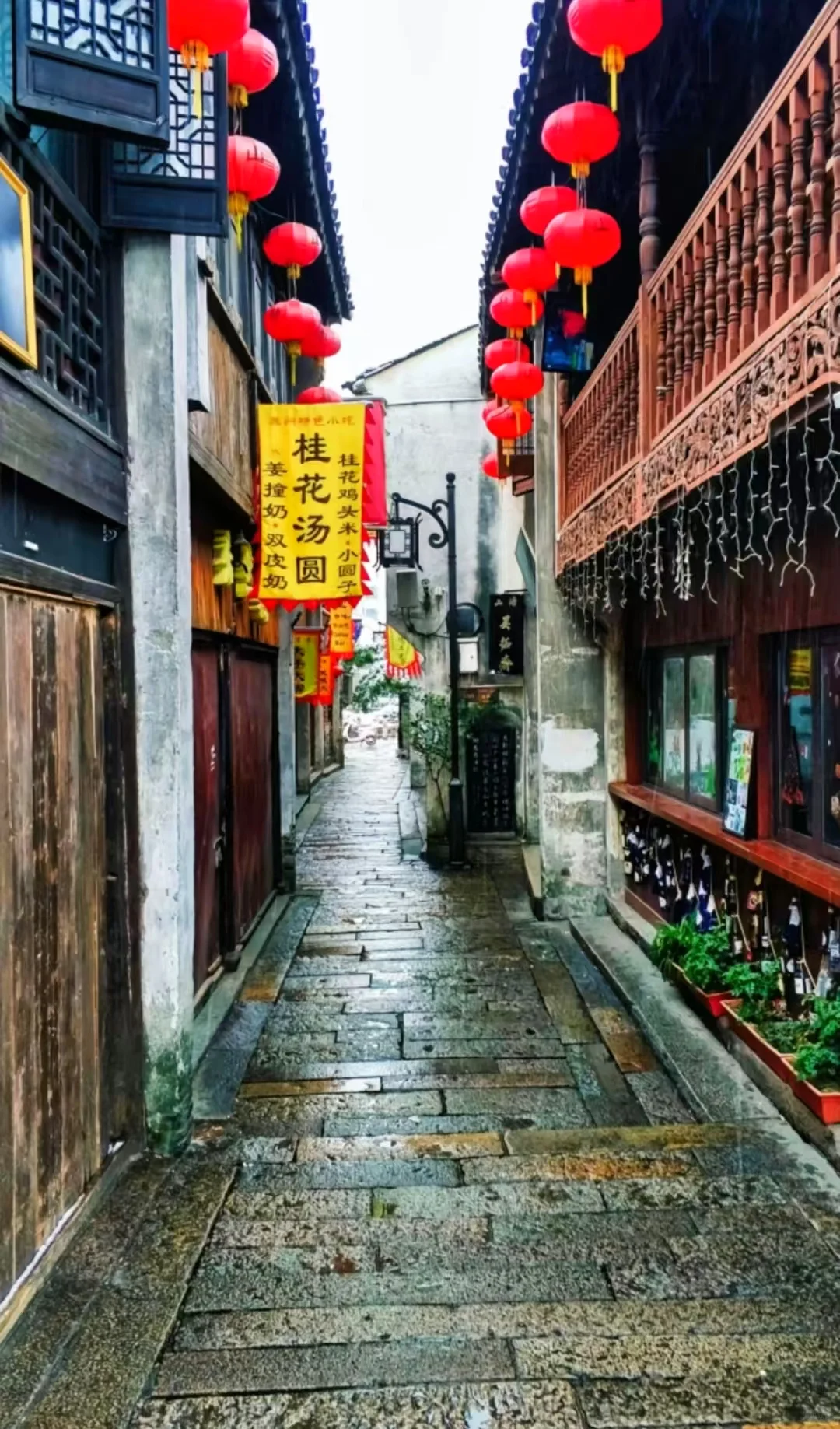 邯郸春节去乌镇南京苏沪杭4日游，旅游攻略