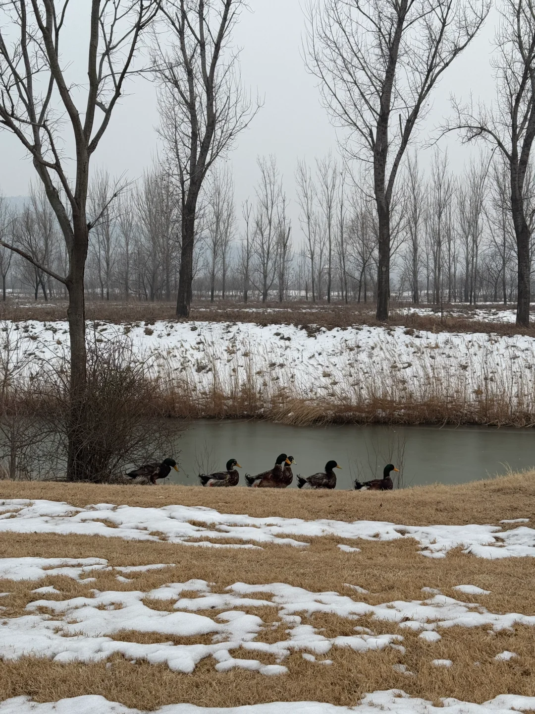 洛阳｜我真的不允许有人错过这个绝美的地方