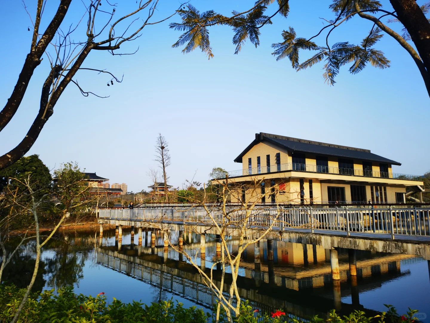 广东中山国家森林公园 — 金钟湖景区