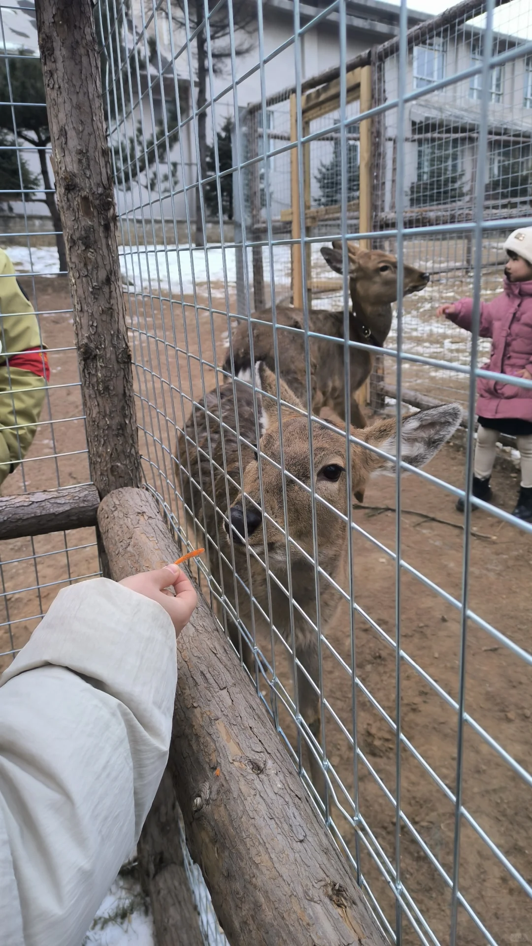 保定|白石山门票免费!
